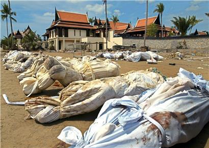 Verschnürte Leichen der Tsunami-Opfer, unter ihnen viele Touristen, liegen vor dem Hotel „Sofitel Magic Lagoon“, Khao Lak, Provinz Phang Nga im Süden Thailands. Am zweiten Weihnachtstag 2004 verwüsteten gewaltige Flutwellen Küsten am Indischen Ozean. Bei der größten Tsunami-Katastrophe seit Menschengedenken kamen rund 230.000 Menschen ums Leben.
