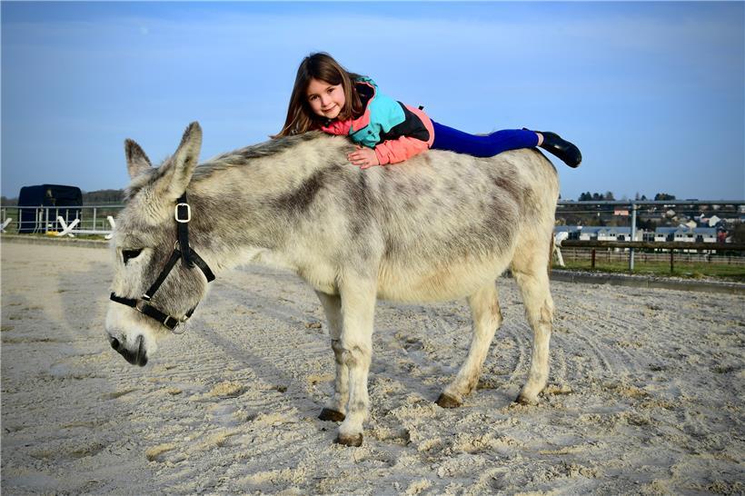Vertrauen aufzubauen, das schaffen die Tiere in der Kommunikation mit den Kindern auch ohne Worte
