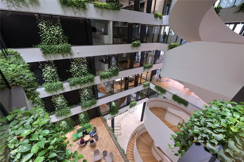 Viel Grün sorgt für eine angenehme Atmosphäre