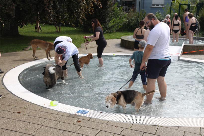 Viel los im Planschbecken