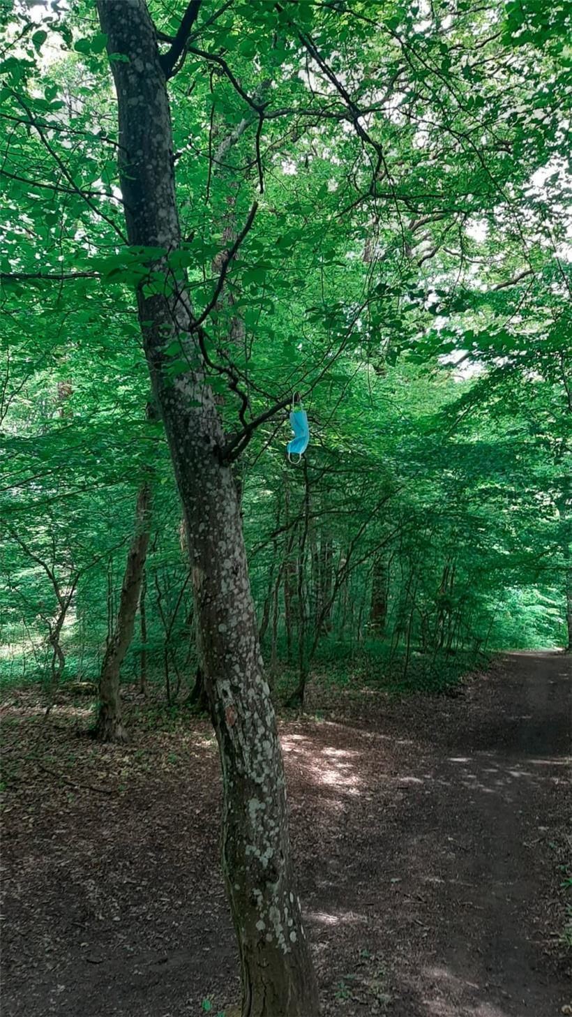 Viele Mundschutze werden achtlos irgendwo entsorgt – dabei sind sie ein Zeichen der Solidarität
