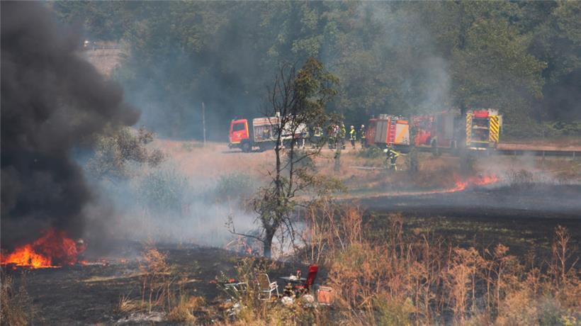Vier Wehren waren angerückt, um den Flächenbrand unter Kontrolle zu bringen