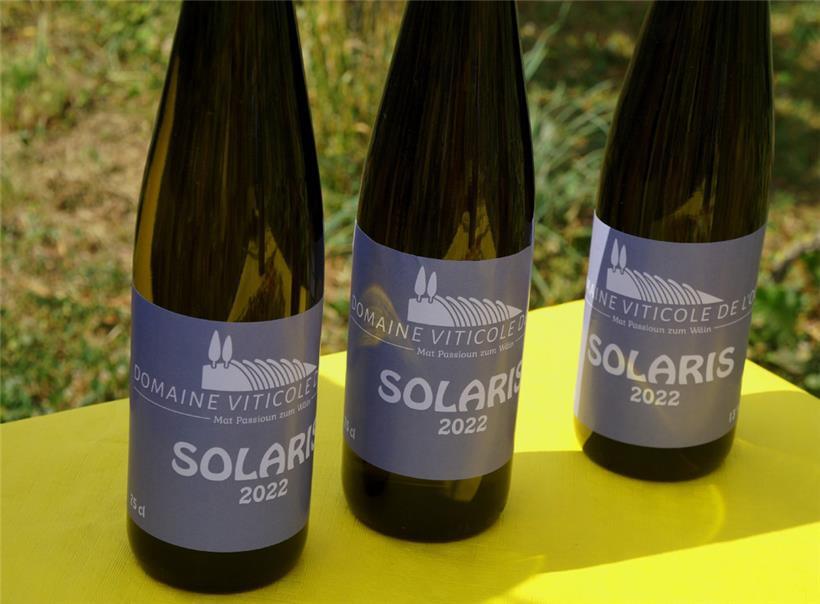 Vom Erntejahr 2022: Solaris von Marc Roeder