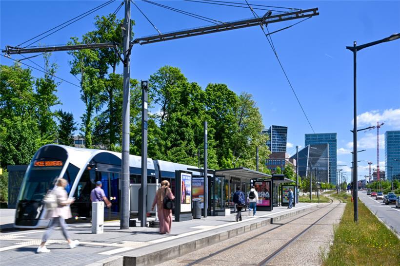 Von der Haltestelle bei der Roten Brücke aus fährt die Tram in Zukunft entweder ...