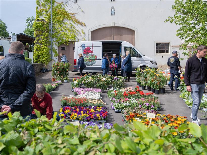 Vielfältige Pflanzenstände und ungewöhnliche Spezialitäten auf dem Blummentreff Markt