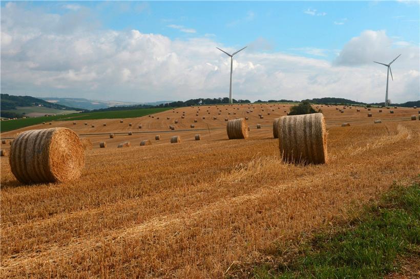 Vor allem die Windkraft wurde hierzulande in den vergangenen Jahren kräftig ausgebaut
