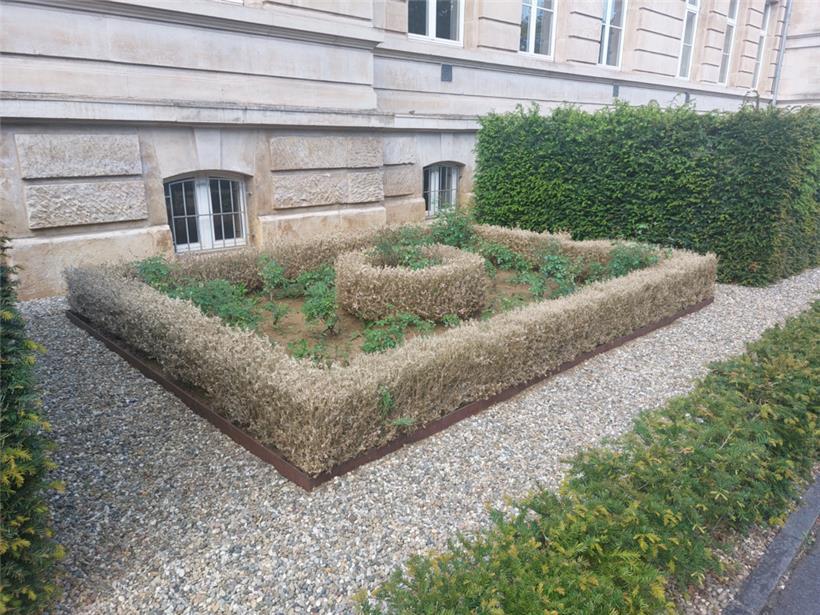 Vor dem LGE in Esch sieht man das Werk des Zünslers
