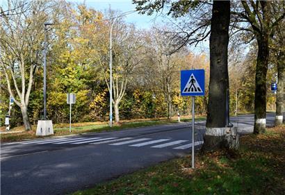 Vor knapp einem Jahr wurde ein obdachloser Mann an diesem Zebrastreifen am Findel von einem Auto erfasst. Er kam dabei ums Leben.
