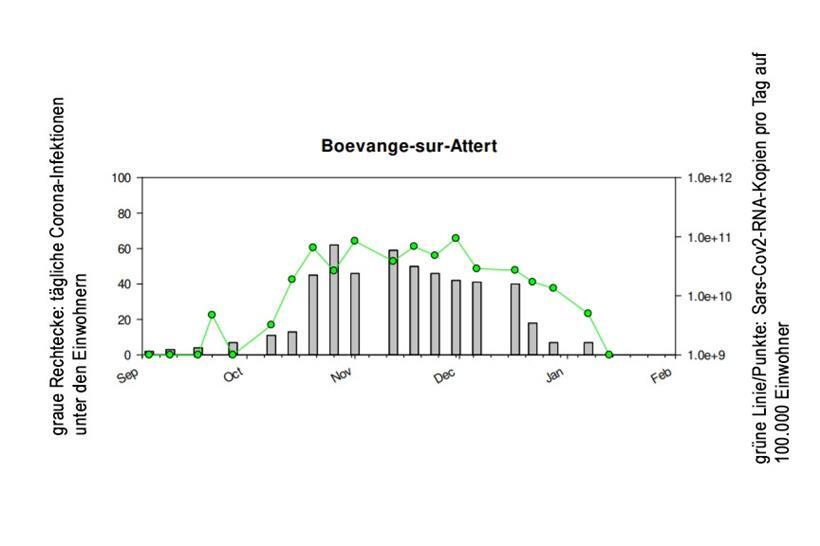 Vorsicht, Falle: Für die grüne Linie (Virengehalt im Abwasser) stellt die x-Achse keine absolute Null-Linie dar, sondern lediglich die Grenze zur Nachweisbarkeit
