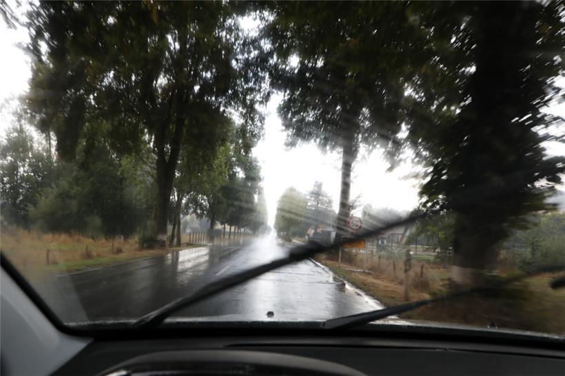 Vorsicht im Herbst: Bei überraschenden Fahrbahnbedingungen – wie nassem Laub auf der Straße – erhöht sich laut Statistik das Risiko für schwere Unfälle
