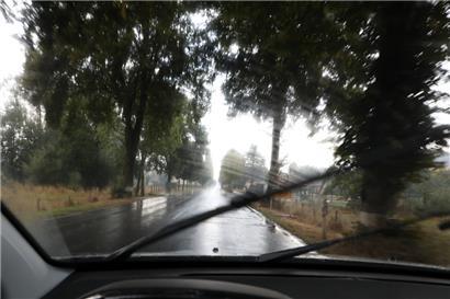 Vorsicht im Herbst: Bei überraschenden Fahrbahnbedingungen – wie nassem Laub auf der Straße – erhöht sich laut Statistik das Risiko für schwere Unfälle
