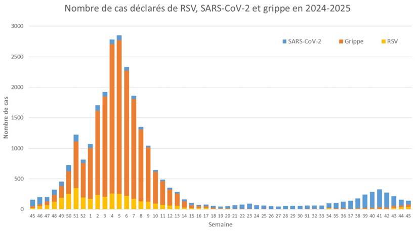 Während die Covid-Zahlen zurückgehen, gibt es einen leichten Anstieg bei Grippe und RSV
