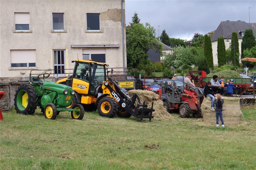 Während manche Oldtimer noch zum Einsatz kommen, werden andere Prachtstücke nur ...