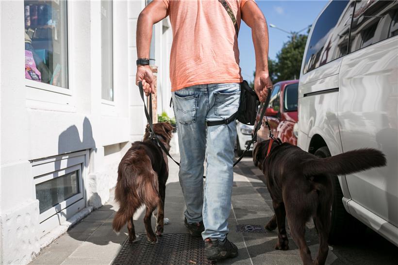 „Wake up, hug a dog and have a nice day“. Dieser Spruch hängt im Laden und steht für die Philosophie. Ein „Dogwalker“ führt Hunde aus. 
