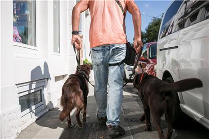 „Wake up, hug a dog and have a nice day“. Dieser Spruch hängt im Laden und steht für die Philosophie. Ein „Dogwalker“ führt Hunde aus. 
