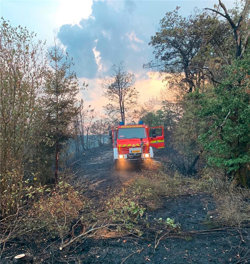 Waldbrand bei Böwen
