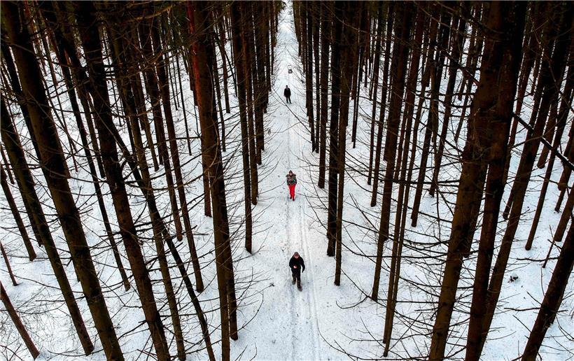 Waldspaziergang 75 Kilometer von Moskau entfernt: „Man schickt Polizeibeamte in fremde Regionen, damit es keine Solidarisierungsversuche gibt“
