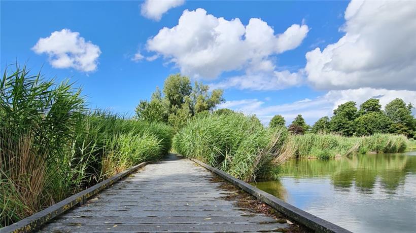 Wandern im Naturschutzgebiet „Groote Gat“ entspannt die Seele
