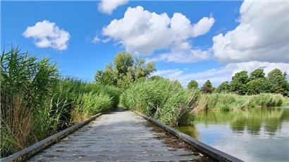 Wandern im Naturschutzgebiet „Groote Gat“ entspannt die Seele
