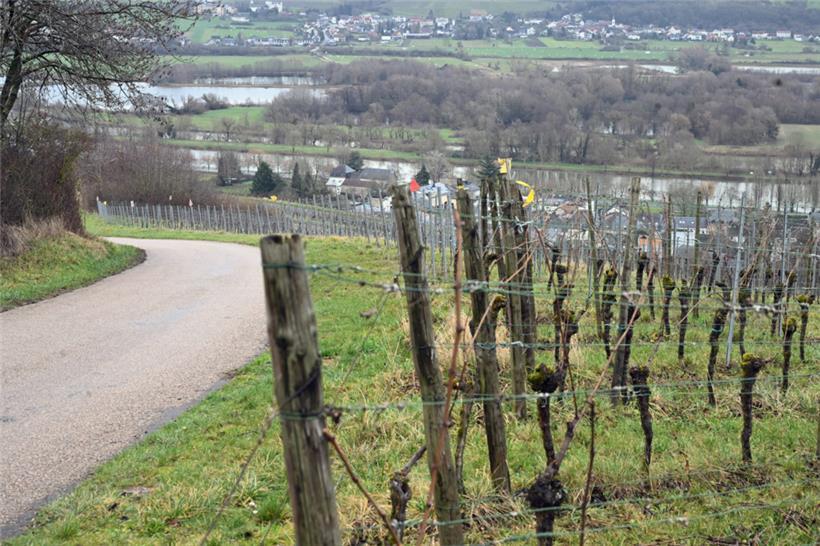 Wanderweg in den Weinbergen rund um Remich mit Blick auf die Gemeinde