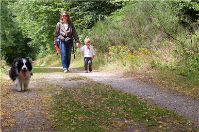 Warum denn in die Ferne schweifen? In Luxemburg, wie hier in Park Hosingen, gibt es viel zu entdecken.

