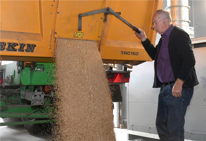 Was die Getreideernte anbelangt, war es ein enttäuschendes Jahr
