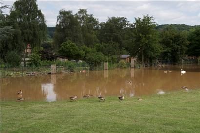Was, wie hier am 15. Juli in Rosport, in Wohngebiete und Gärten gelangt ist, war alles andere als klares Wasser
