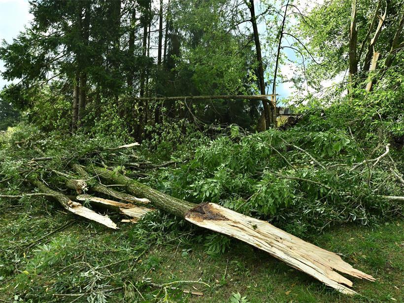 Tornado-Verdacht in Belgien, Tote in Deutschland: Unwetter hinterlässt schwere Schäden