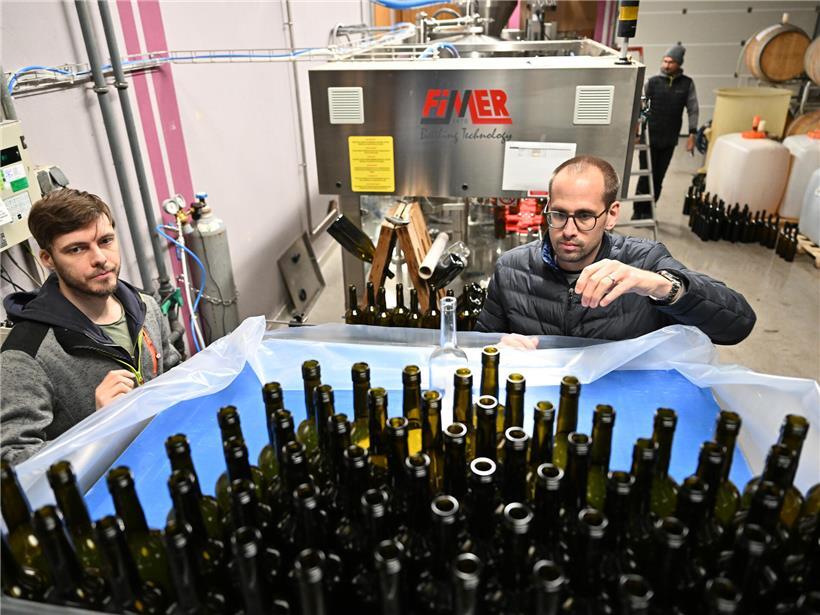 Vom Tank in die Flasche: Unser Rivaner ist abgefüllt und fast bereit, verkostet zu werden