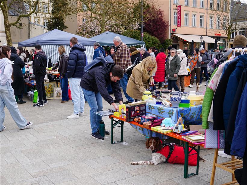Schätze suchen auf dem ersten „Vide-grenier“ der Saison am Sonntag
