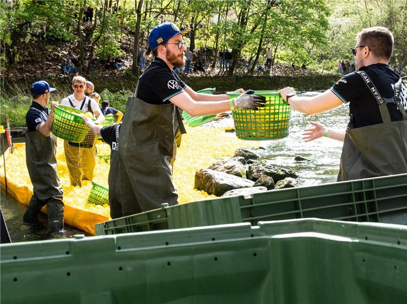 Wie tausende Plastikenten nach dem Duck Race wieder aus der Alzette gefischt werden