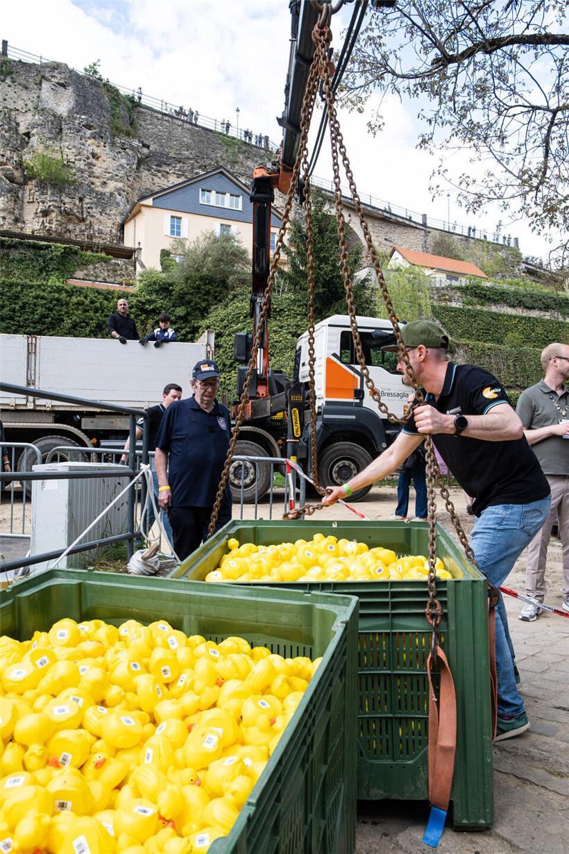 Wie tausende Plastikenten nach dem Duck Race wieder aus der Alzette gefischt werden
