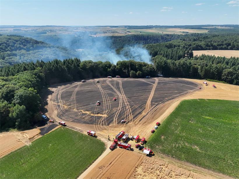 Rund 70 Feuerwehrleute kämpfen gegen Feuer nahe Consdorf