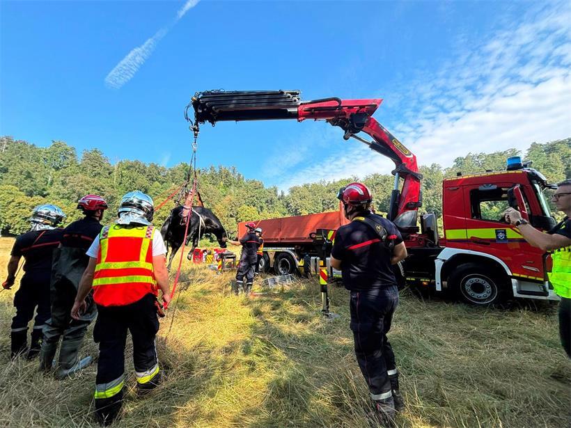 CGDIS rettet Kuh aus Fluss bei Marienthal