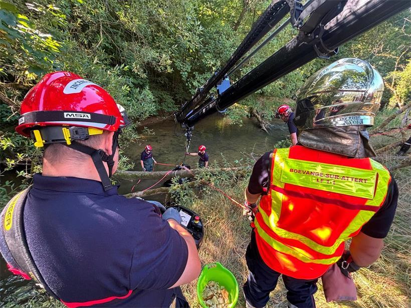 CGDIS rettet Kuh aus Fluss bei Marienthal