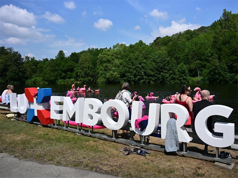 Der „Flamingo Flash Mob“ färbte den Campingplatz pink