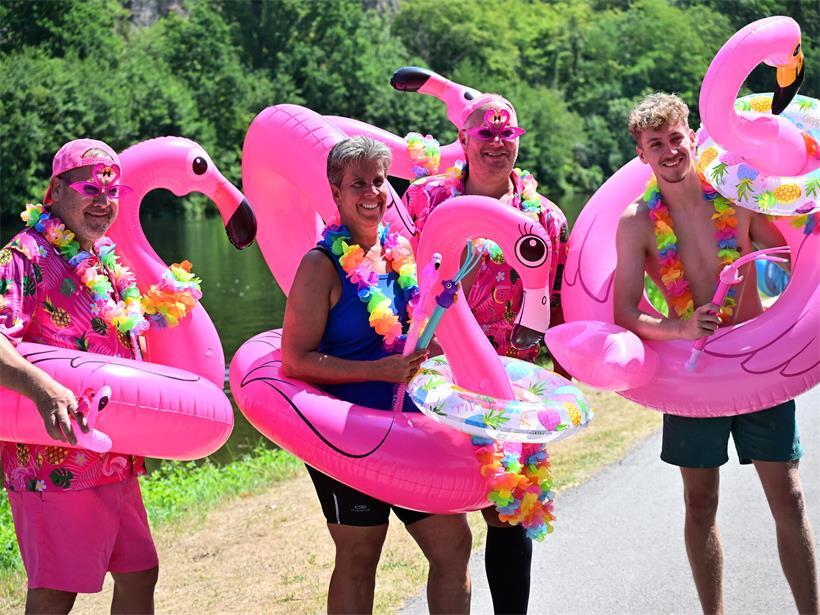Der „Flamingo Flash Mob“ färbte den Campingplatz pink