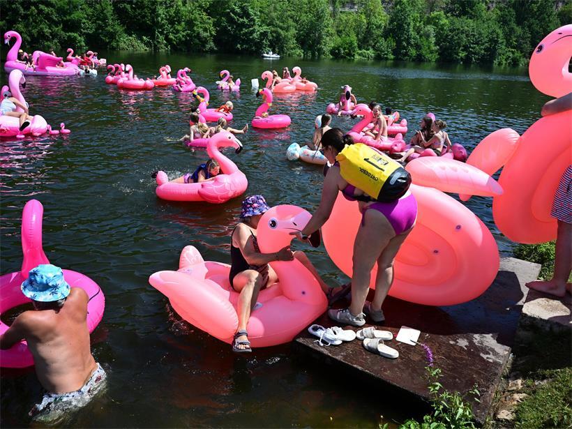 Der „Flamingo Flash Mob“ färbte den Campingplatz pink