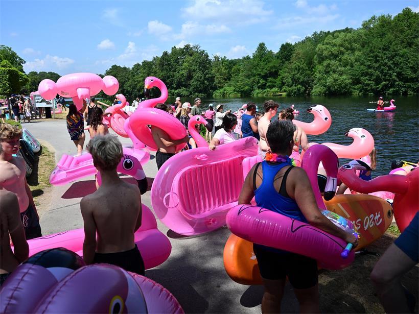 Der „Flamingo Flash Mob“ färbte den Campingplatz pink