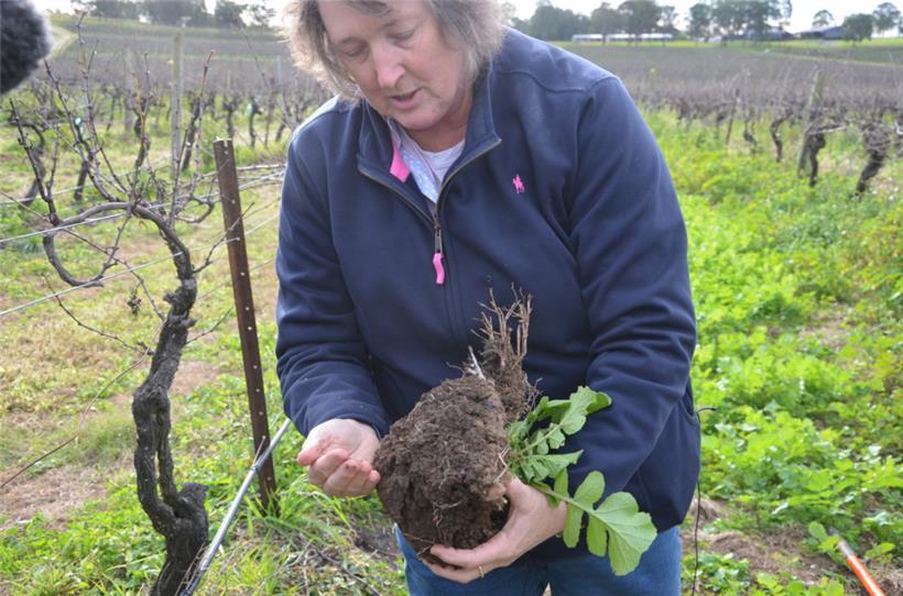 Weinbauexpertin Liz Riley mit dem Boden, der als Basis für die „Sonnencreme“ ben...