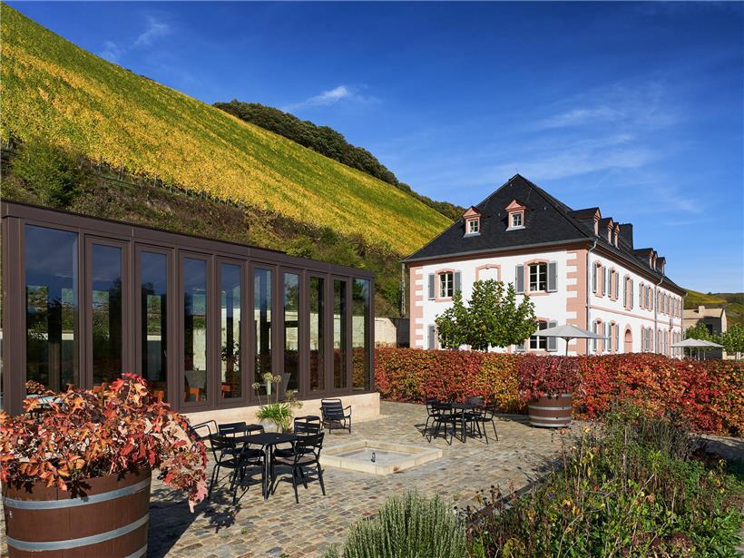 Weingut Cantzheim in Deutschland mit Weinbergen und traditionellem Weinkeller bei sonnigem Wetter