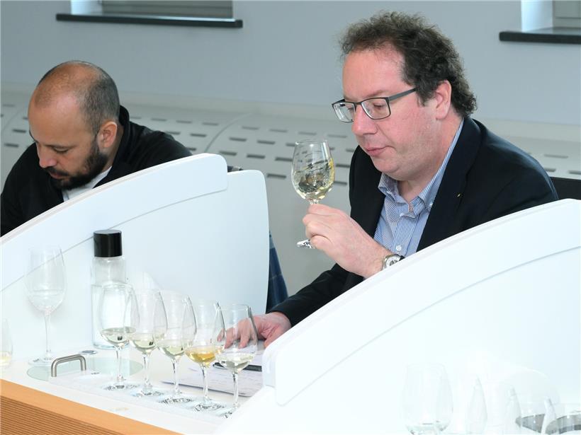 Unser Rivaner auf dem Prüfstand: So erhalten Luxemburger Weine das AOP-Siegel Weinkontrolleur Paul Thill leitet konzentriert die Verkostungskommission bei einer Weinprobe