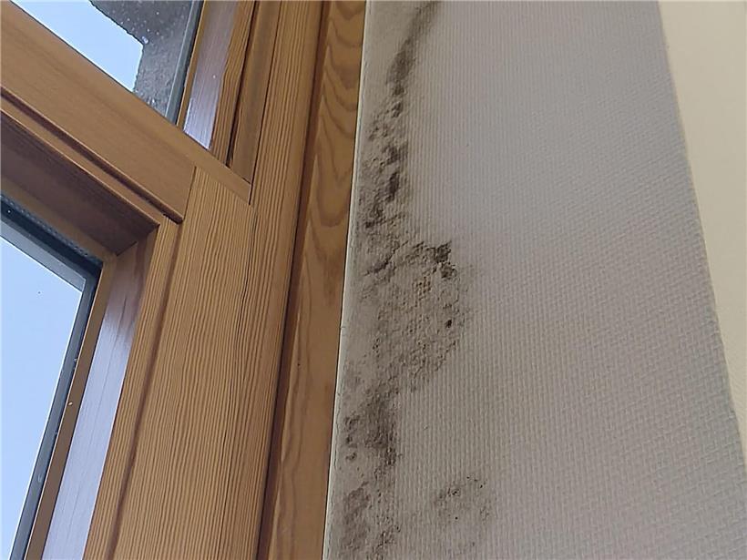 Feuchtigkeitsflecken an der Mauer in der alten Haushaltsschule, sichtbare Schäden durch Feuchtigkeit und Schimmelbildung