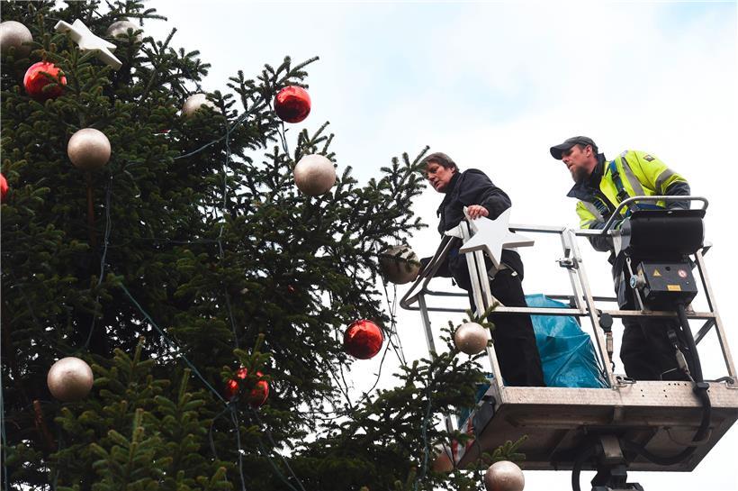 Welche Tannenbäume dürfen im Winter die luxemburgische Hauptstadt zieren? Die Bürger können derzeit noch Fotos ihrer Kandidaten einreichen. 
