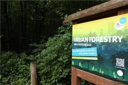 Welcher Wald soll es sein?
