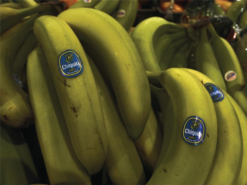Weltbekannt und doch umstritten: Bananen von Chiquita
