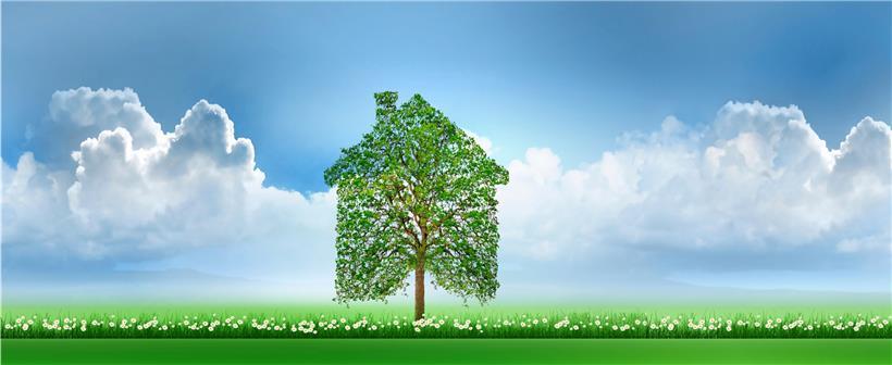 Wenn bezahlbare Wohnungen doch einfach nur aus dem Boden sprießen würden …
