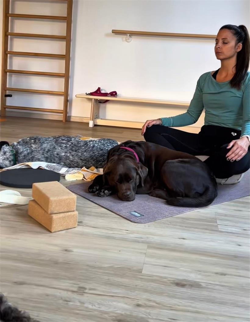 Wenn der Nachbar im Yogakurs ein Vierbeiner ist
