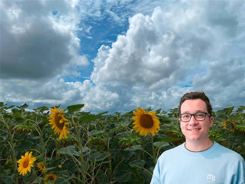 Wenn die Wolken mal wieder dominieren, scheinen von unten die Sonnenblumen
