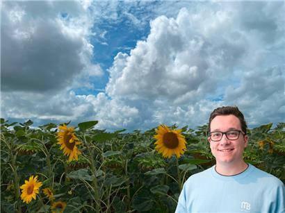Wenn die Wolken mal wieder dominieren, scheinen von unten die Sonnenblumen
